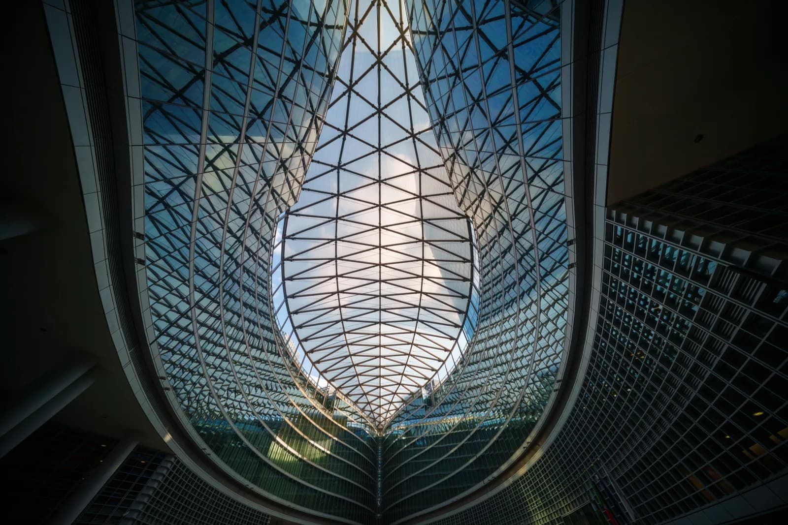 Curved glass atrium roof rising toward an open sky